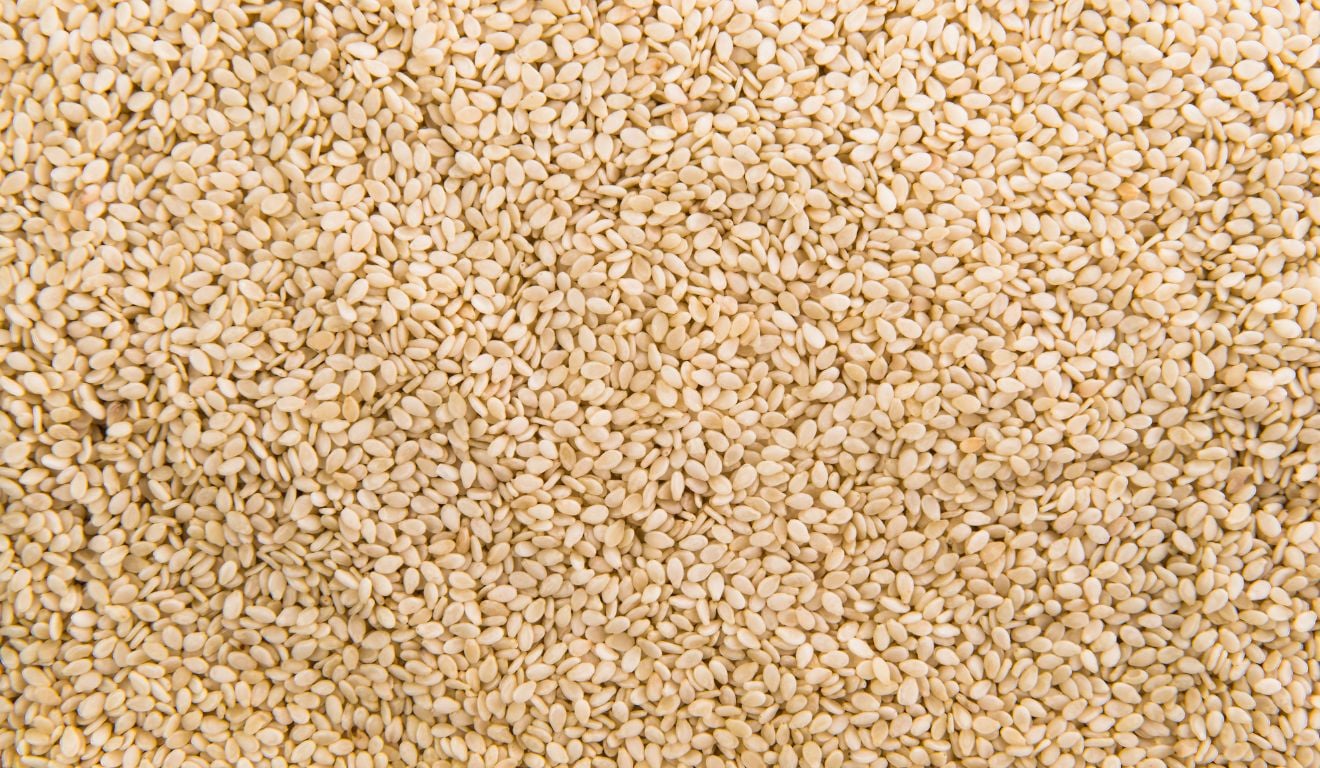 Descubra como o gergelim se tornou uma cultura relevante na região Centro-Oeste do Brasil e as suas vantagens de produção Descubra como o gergelim se tornou uma cultura relevante na região Centro-Oeste do Brasil e as suas vantagens de produção