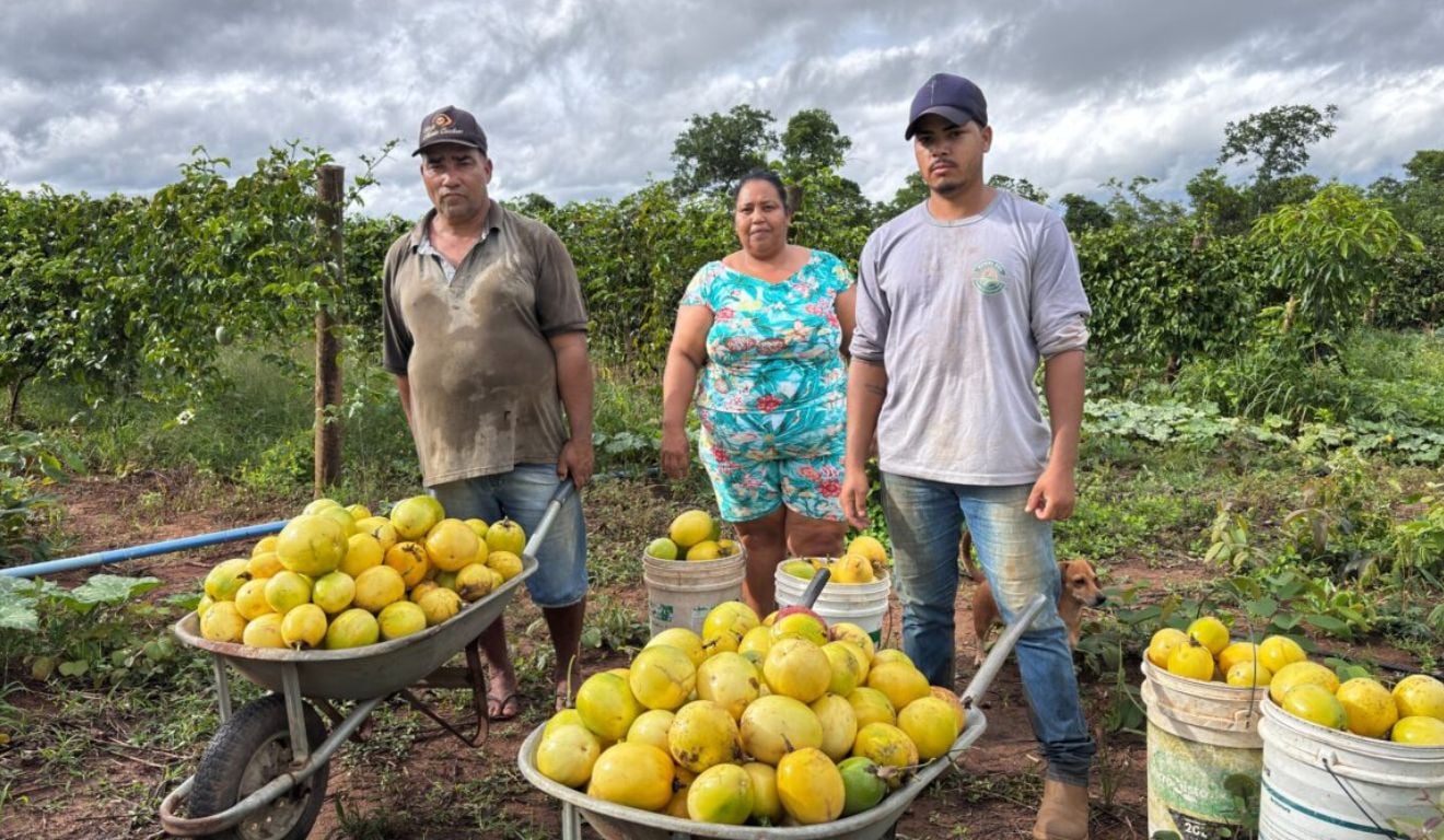 Em 2025, o Governo de Goiás aplicou R$ 80,5 milhões em investimentos para políticas públicas voltadas à agricultura familiar Em 2025, o Governo de Goiás aplicou R$ 80,5 milhões em investimentos para políticas públicas voltadas à agricultura familiar