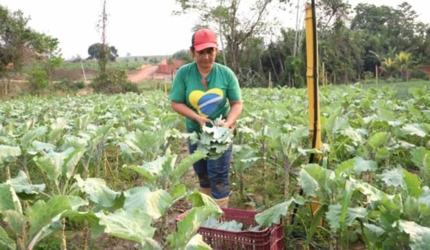 O governo do Acre criou um novo Selo da Agricultura Familiar, através da sanção da Lei nº 4.666. A nova política pública tem como objetivo identificar, valorizar e promover a produção agropecuária artesanal, garantindo que os produtos atendam a padrões de qualidade e segurança sanitária, além de fortalecer a geração de renda no campo