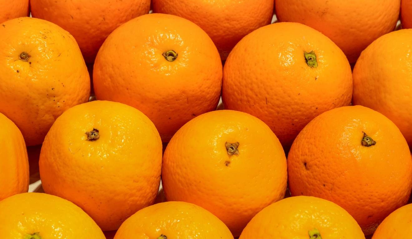 Produtores de citros do Estado de São Paulo têm até 15 de janeiro para enviar à Defesa Agropecuária o relatório de Cancro/HLB (Greening). O documento deve apresentar os resultados das vistorias trimestrais realizadas no segundo semestre de 2025. Produtores de citros do Estado de São Paulo têm até 15 de janeiro para enviar à Defesa Agropecuária o relatório de Cancro/HLB (Greening). O documento deve apresentar os resultados das vistorias trimestrais realizadas no segundo semestre de 2025.