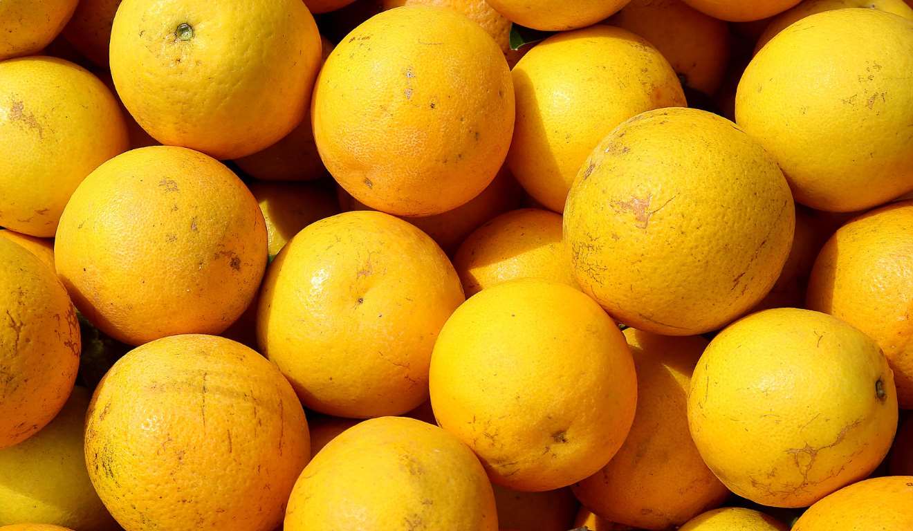 Os hortigranjeiros do Paraná iniciaram o ano de 2026 com preços mais baixos, de acordo com o Boletim Conjuntural divulgado nesta quinta-feira (8) pelo Departamento de Economia Rural (Deral), da Secretaria de Estado da Agricultura e do Abastecimento (Seab). A redução nos valores reflete a sazonalidade da produção e o planejamento dos produtores, especialmente para atender à demanda do período de festas Os hortigranjeiros do Paraná iniciaram o ano de 2026 com preços mais baixos, de acordo com o Boletim Conjuntural divulgado nesta quinta-feira (8) pelo Departamento de Economia Rural (Deral), da Secretaria de Estado da Agricultura e do Abastecimento (Seab). A redução nos valores reflete a sazonalidade da produção e o planejamento dos produtores, especialmente para atender à demanda do período de festas