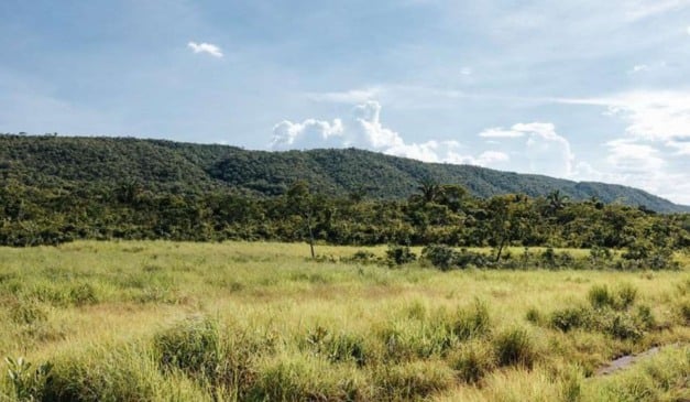 O governo do Mato Grosso, por meio da Secretaria de Estado de Meio Ambiente (Sema-MT), iniciou o processo de regularização ambiental de 50 mil hectares (ha) em propriedades rurais. A Sema aprovou, em 2025, 1.271 termos de compromisso de recuperação após a implantação do Cadastro Ambiental Rural (CAR) Digital 2.0