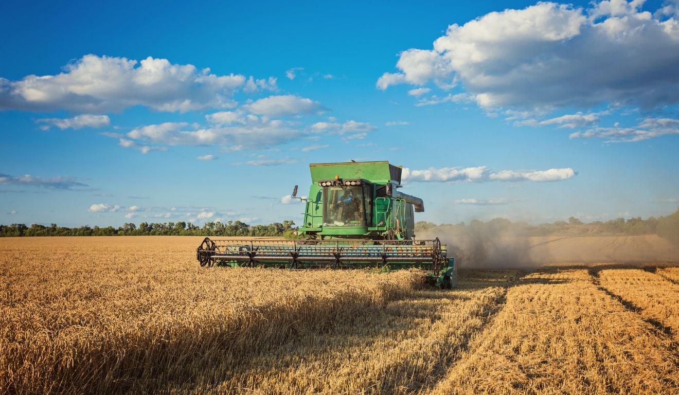 Guia prático ajuda produtores a alinhar tecnologia, cultura agrícola e viabilidade econômica na compra de colheitadeiras Guia prático ajuda produtores a alinhar tecnologia, cultura agrícola e viabilidade econômica na compra de colheitadeiras