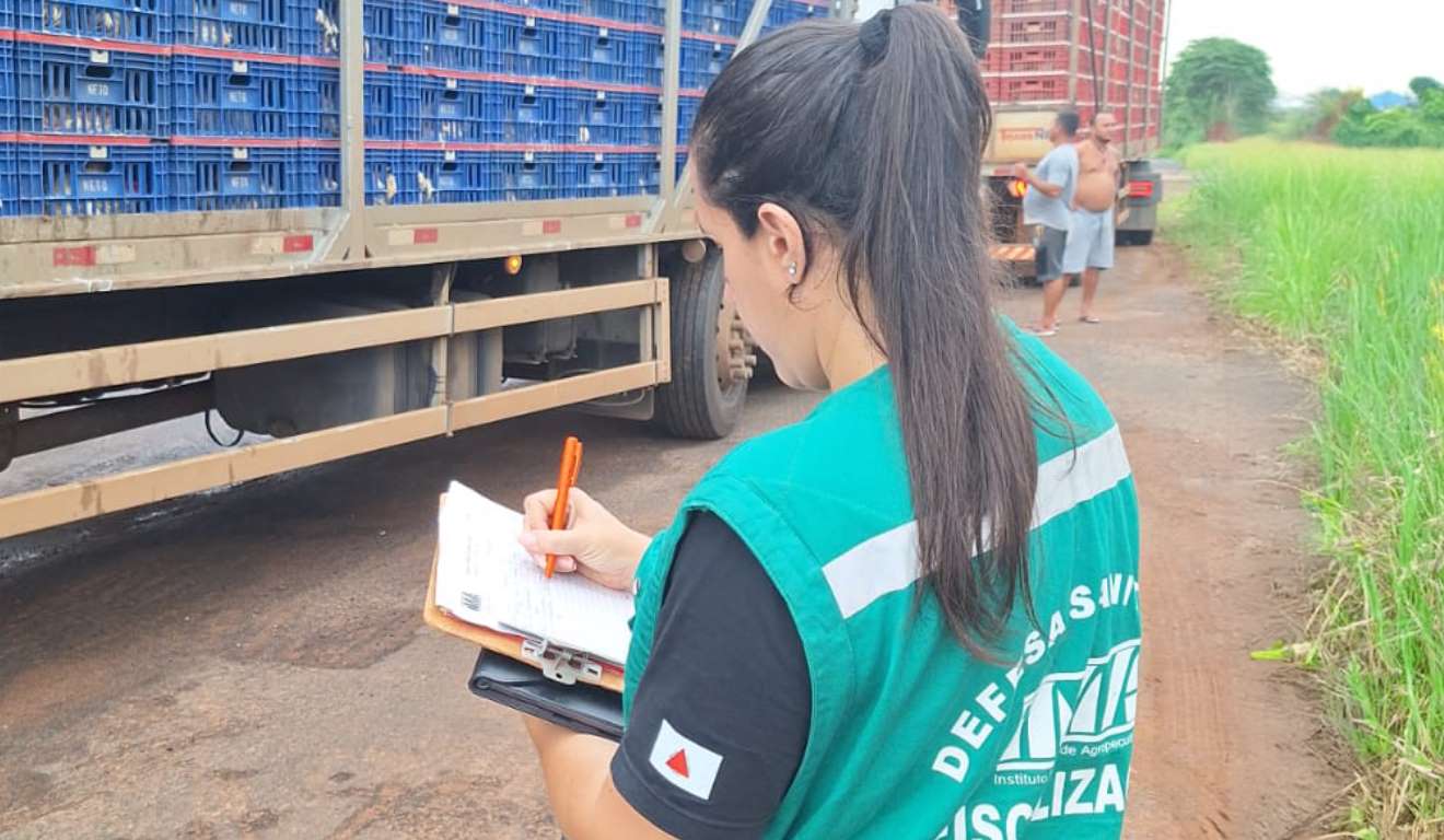 Minas Gerais atualizará normas de Guia de Trânsito Animal