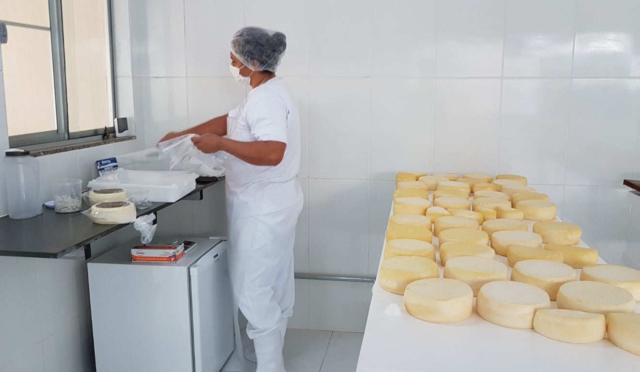 A Empresa de Assistência Técnica e Extensão Rural do Estado de Minas Gerais (Emater-MG) divulgou, ontem (19), seu novo relatório sobre a produção mineira de queijo artesanal, em alusão ao Dia Mundial do Queijo, celebrado hoje (20). Segundo o documento, 43 mil toneladas do produto foram produzidas no estado em 2025