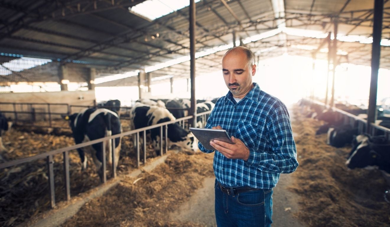 Entender a escala de abate dos frigoríficos ajuda o produtor a negociar melhor, planejar a engorda e proteger a rentabilidade da atividade