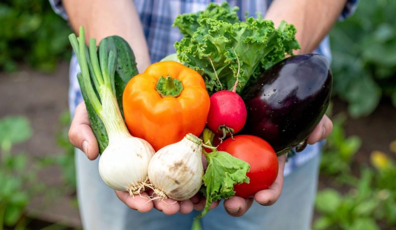 O Programa Paulista da Agricultura de Interesse Social (PPAIS) superou em mais de 150% os resultados do ano anterior e chegou a R$ 53,9 milhões em compras públicas. Significa um importante movimento para a produção e geração de renda para produtores rurais de São Paulo.