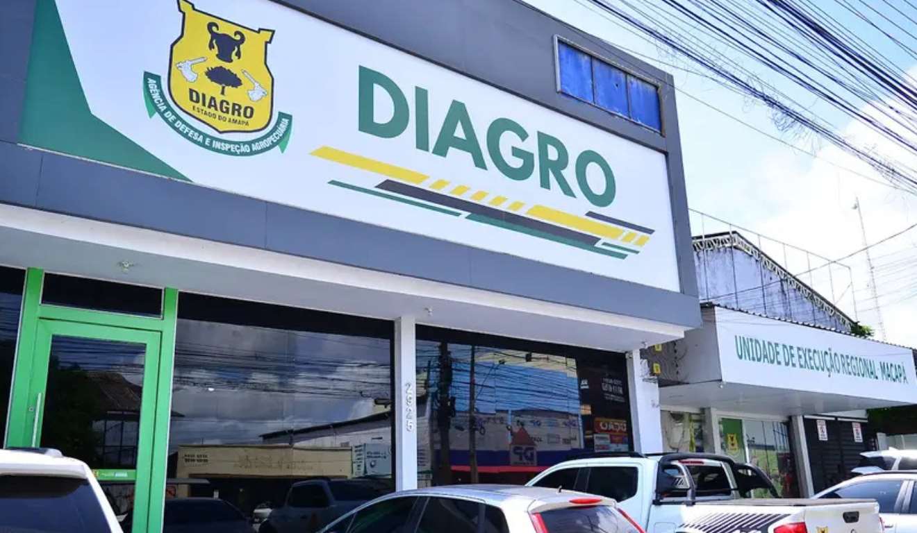 O governo do Amapá alerta para o prazo de renovação do Serviço de Inspeção Estadual (SIE), que termina no dia 31 de janeiro. O procedimento de regularização é coordenado pela Agência de Defesa e Inspeção Agropecuária (Diagro) e segue o cronograma estabelecido no Título de Registro de cada unidade produtiva