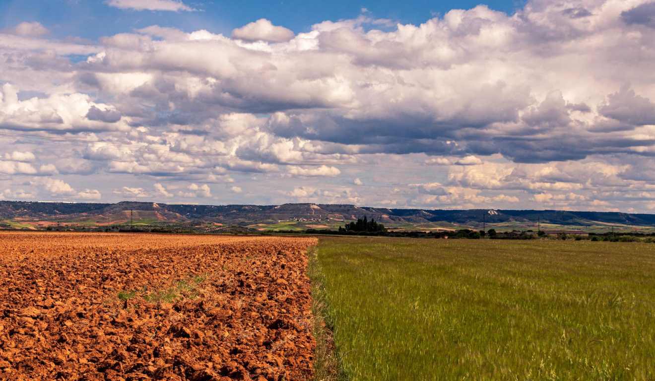 A Comissão de Agricultura, Pecuária, Abastecimento e Desenvolvimento Rural da Câmara dos Deputados aprovou, em dezembro, o Projeto de Lei 4.516/25, que estabelece diretrizes para o monitoramento e o mapeamento da saúde dos solos no Brasil. A proposta busca ampliar o acompanhamento das condições do solo no país. A Comissão de Agricultura, Pecuária, Abastecimento e Desenvolvimento Rural da Câmara dos Deputados aprovou, em dezembro, o Projeto de Lei 4.516/25, que estabelece diretrizes para o monitoramento e o mapeamento da saúde dos solos no Brasil. A proposta busca ampliar o acompanhamento das condições do solo no país.