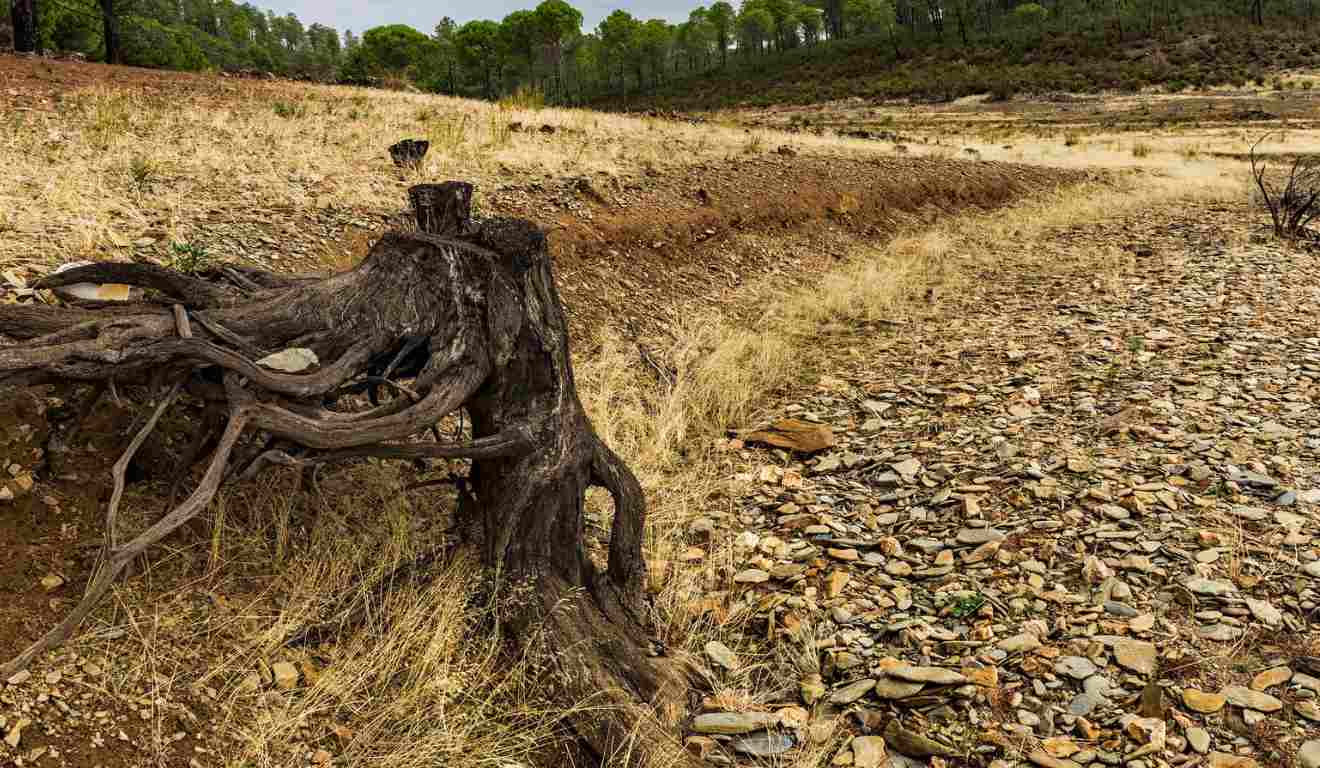 A Comissão de Agricultura, Pecuária, Abastecimento e Desenvolvimento Rural da Câmara dos Deputados aprovou, em dezembro, o Projeto de Lei 3.612/25, que institui o Programa Nacional de Recuperação de Terras Degradadas na Amazônia. A iniciativa busca ampliar a produção agropecuária sem a abertura de novas áreas de desmatamento.