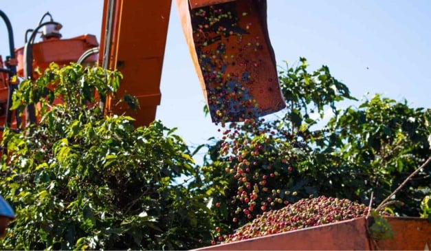 Minas Gerais bateu recorde nas exportações em 2025 ao movimentar US$ 45,7 bilhões em produtos. O valor é o maior desde 1997. O resultado reforça o peso do estado no comércio exterior brasileiro e representa crescimento de 8,6% em relação a 2024.