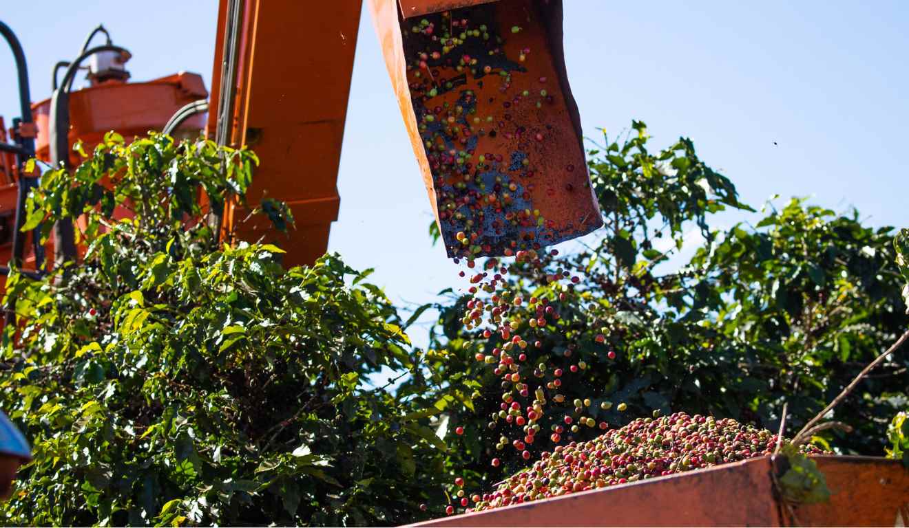 Minas Gerais bateu recorde nas exportações em 2025 ao movimentar US$ 45,7 bilhões em produtos. O valor é o maior desde 1997. O resultado reforça o peso do estado no comércio exterior brasileiro e representa crescimento de 8,6% em relação a 2024. Minas Gerais bateu recorde nas exportações em 2025 ao movimentar US$ 45,7 bilhões em produtos. O valor é o maior desde 1997. O resultado reforça o peso do estado no comércio exterior brasileiro e representa crescimento de 8,6% em relação a 2024.