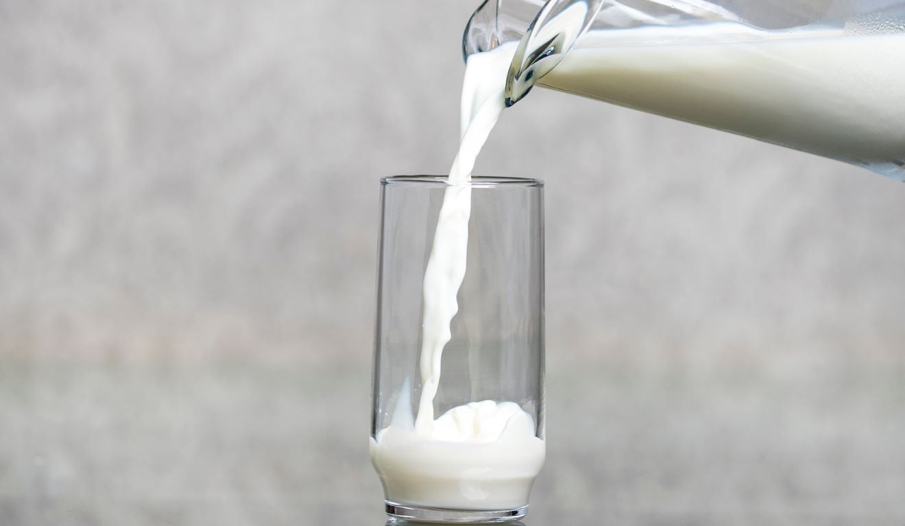 Nesta última quarta-feira (21), o governador de Santa Catarina, Jorginho Mello, sancionou uma nova lei que proíbe a reconstituição e comercialização de leite em pó importado como leite líquido. O projeto de lei é de autoria do deputado estadual Oscar Gutz e busca combater a concorrência desleal no setor leiteiro Nesta última quarta-feira (21), o governador de Santa Catarina, Jorginho Mello, sancionou uma nova lei que proíbe a reconstituição e comercialização de leite em pó importado como leite líquido. O projeto de lei é de autoria do deputado estadual Oscar Gutz e busca combater a concorrência desleal no setor leiteiro