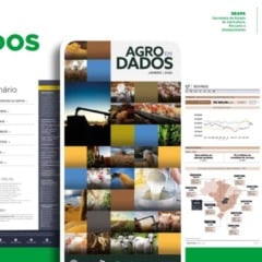 No &uacute;ltimo domingo (18), a Secretaria de Estado de Agricultura, Pecu&aacute;ria e Abastecimento (Seapa) de Goi&aacute;s divulgou o relat&oacute;rio Agro em Dados de 2025. A 76&ordf; edi&ccedil;&atilde;o da publica&ccedil;&atilde;o consolida os principais resultados da agropecu&aacute;ria goiana