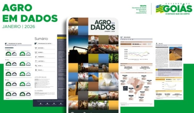 No último domingo (18), a Secretaria de Estado de Agricultura, Pecuária e Abastecimento (Seapa) de Goiás divulgou o relatório Agro em Dados de 2025. A 76ª edição da publicação consolida os principais resultados da agropecuária goiana