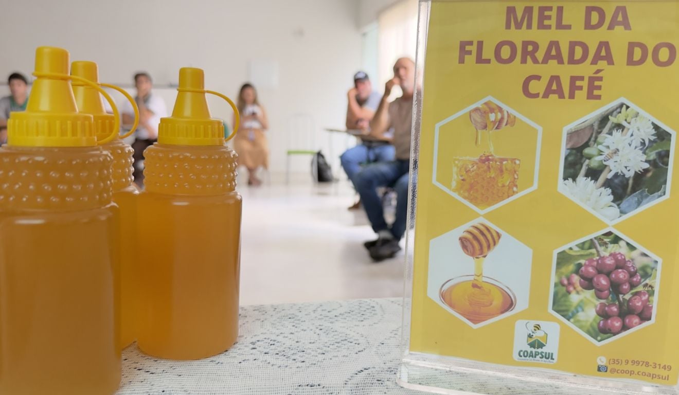 Capacitação reuniu produtores de mel e própolis de Minas Gerais com foco em gestão, cooperativismo e organização produtiva