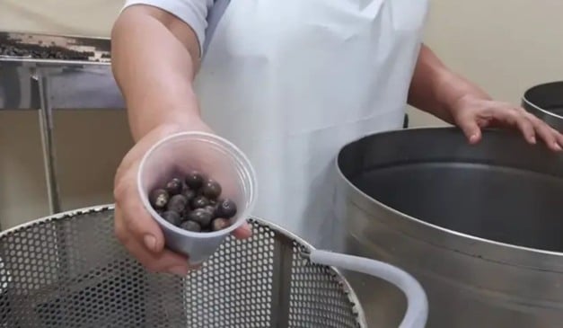 Nesta quinta-feira (22), a Secretaria de Desenvolvimento Agropecuário e da Pesca (Sedap), em parceria com a Casa do Açaí do Município de Belém, promovem a primeira capacitação do ano para a produção artesanal de açaí. O curso orienta os produtores iniciantes sobre boas práticas em todas as etapas de manipulação do produto