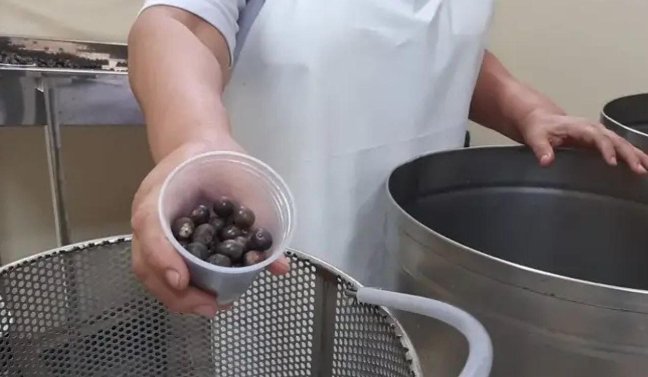 Nesta quinta-feira (22), a Secretaria de Desenvolvimento Agropecuário e da Pesca (Sedap), em parceria com a Casa do Açaí do Município de Belém, promovem a primeira capacitação do ano para a produção artesanal de açaí. O curso orienta os produtores iniciantes sobre boas práticas em todas as etapas de manipulação do produto Nesta quinta-feira (22), a Secretaria de Desenvolvimento Agropecuário e da Pesca (Sedap), em parceria com a Casa do Açaí do Município de Belém, promovem a primeira capacitação do ano para a produção artesanal de açaí. O curso orienta os produtores iniciantes sobre boas práticas em todas as etapas de manipulação do produto