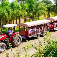 Uma pesquisa nacional do Minist&eacute;rio do Turismo, SPRINT Dados e a Rede Turismo Rural Consciente, 74% dos viajantes no Brasil escolhem o campo