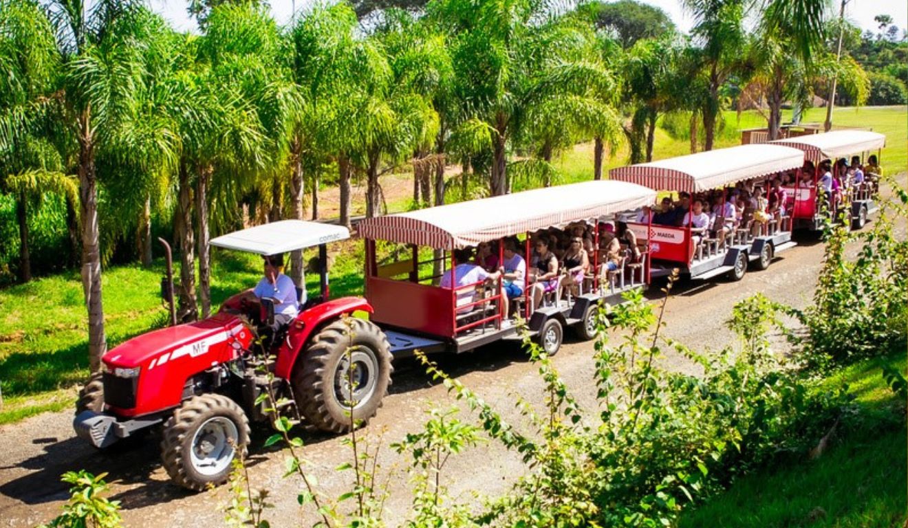 Uma pesquisa nacional do Ministério do Turismo, SPRINT Dados e a Rede Turismo Rural Consciente, 74% dos viajantes no Brasil escolhem o campo Uma pesquisa nacional do Ministério do Turismo, SPRINT Dados e a Rede Turismo Rural Consciente, 74% dos viajantes no Brasil escolhem o campo