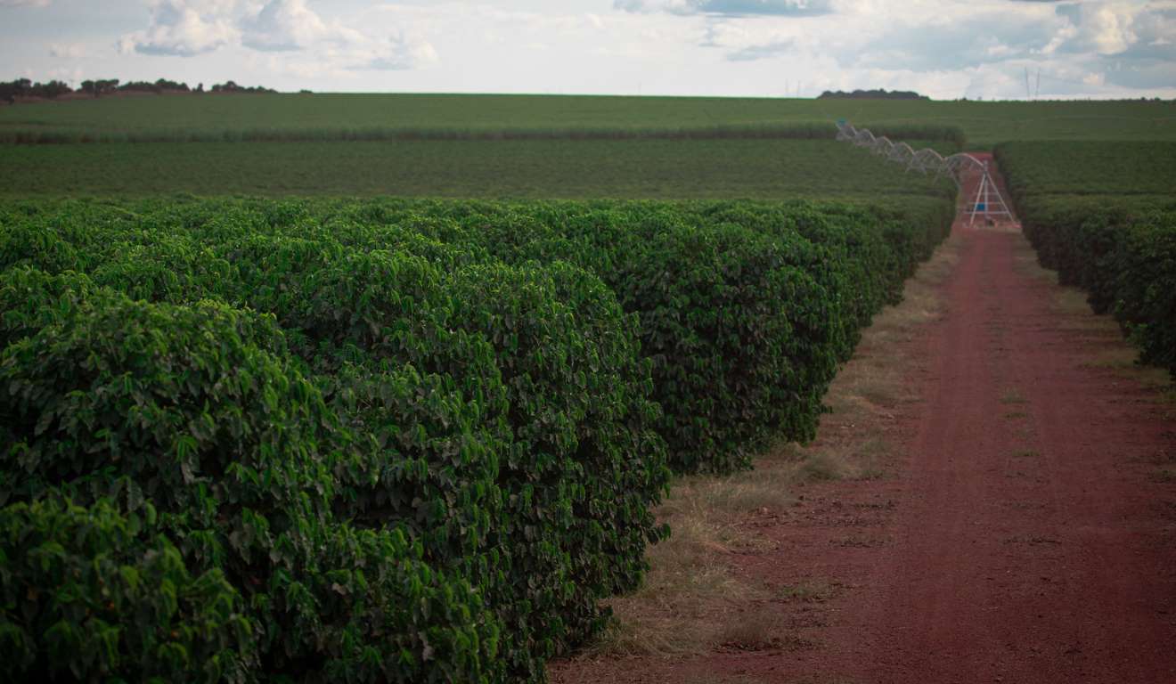 O governo estadual alerta sobre as últimas semanas para se inscrever no Coopera Paraná. As cooperativas e associações da agricultura familiar interessadas terão até o dia 1ª de fevereiro para se cadastrarem no Edital de Chamamento Público Seab/Deagro nº 001/2025