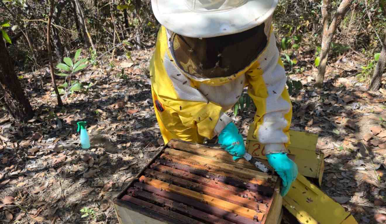 O prazo para o cadastramento no Projeto de Promoção da Melhoria da Qualidade das Agroindústrias de Pequeno Porte de Goiás termina nesta quinta-feira (8). A Secretaria de Agricultura, Pecuária e Abastecimento (Seapa) coordena a iniciativa, em parceria com o Sebrae e o Senai. O prazo para o cadastramento no Projeto de Promoção da Melhoria da Qualidade das Agroindústrias de Pequeno Porte de Goiás termina nesta quinta-feira (8). A Secretaria de Agricultura, Pecuária e Abastecimento (Seapa) coordena a iniciativa, em parceria com o Sebrae e o Senai.