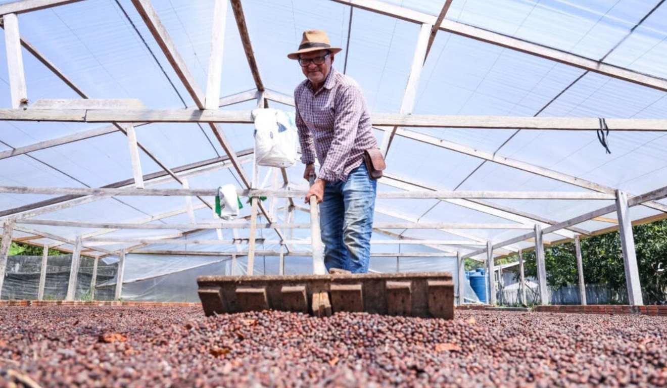 O governo do Acre divulgou, ontem (19), os novos dados sobre o Valor Bruto da Produção (VBP) do café. Entre 2019 e 2025, a cafeicultura acreana, registrou crescimento de 391,5% e o VBP do setor passando de R$ 28,3 milhões para R$ 139,1 milhões, impulsionado pela agricultura familiar O governo do Acre divulgou, ontem (19), os novos dados sobre o Valor Bruto da Produção (VBP) do café. Entre 2019 e 2025, a cafeicultura acreana, registrou crescimento de 391,5% e o VBP do setor passando de R$ 28,3 milhões para R$ 139,1 milhões, impulsionado pela agricultura familiar