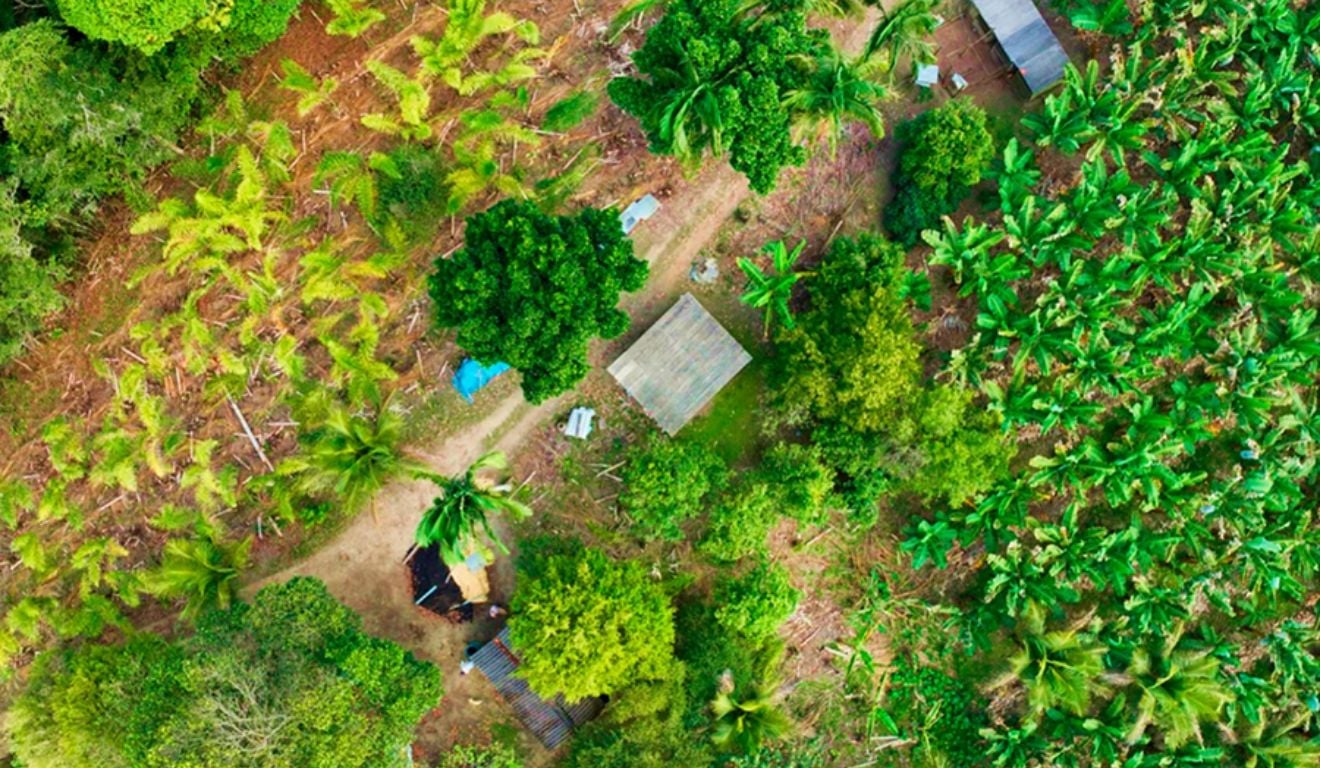 Fonte: Embrapa (Thiago Santos) Fonte: Embrapa (Thiago Santos)