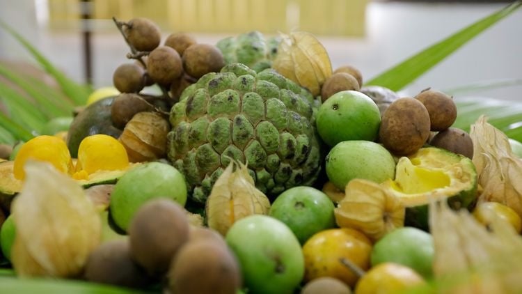 Edital Cerrado +Cooperativo 2026 disponibiliza R$ 50 mi para agricultura familiar