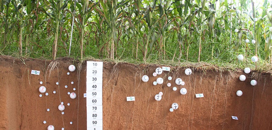 Embrapa cria calculadora nacional que mede o carbono guardado no solo
